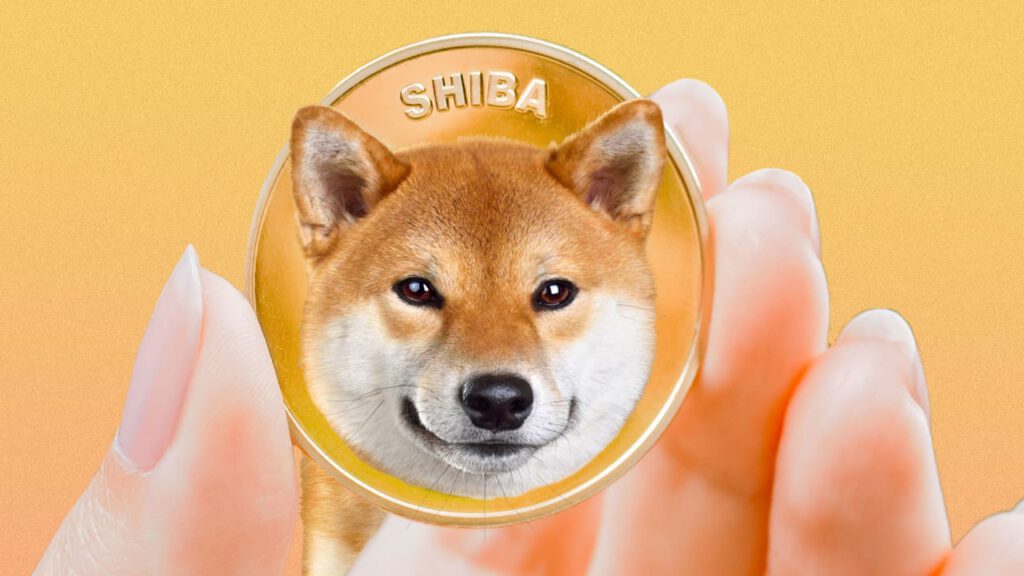 Shiba Inu Coin là gì? Mua Shiba Inu Coin ở đâu uy tín 2022?